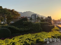 꽃멀미가 대수랴! 국화 20만 점 향기 폭발