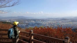 도심 속 명품 정원, 14km 다채로운 둘레길