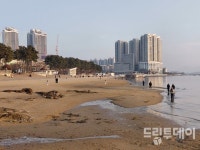 토박이들만 알던 산길 예술의 섬 장도까지
