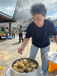 봉숭아꽃 피자, 마을도 다시 피었다
