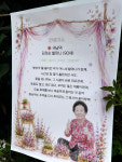 봉숭아꽃 피자, 마을도 다시 피었다