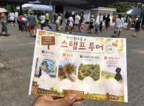 봉숭아꽃 피자, 마을도 다시 피었다