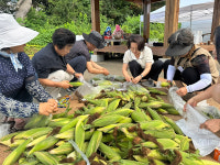 봉숭아꽃 피자, 마을도 다시 피었다