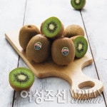 제스프리 키위 2주 체험단 100명 모집