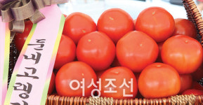 3박 4일보다 알찬 ‘당일치기’