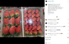 이연복, BTS 진에게 받은 의외의 선물? 밤 10시, 허름한 옷차림으로 딸기를...