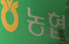 잊을만 하면 터지는 은행 직원 횡령 사건...강릉 새마을금고 이어 파주 농협에서 수십 억 빼돌려