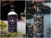 박재범 원소주, 또 오픈런 사태 벌어질까?...GS25에서 12일부터 판매