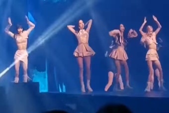 블랙핑크, 연습 부족? 콘서트 무대 수준 이하 논란