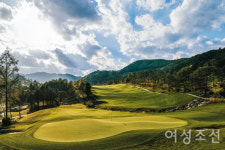 골프 프로 5인이 추천한 베스트 국내 골프장