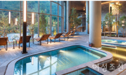 새해에는 웰니스를 ①