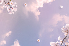 [닥터설레임 피부이야기] 당신의 화사한 봄날을 위한 피부 관리