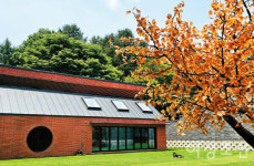 반려동물과 함께 머물 수 있는 숙소들 ①