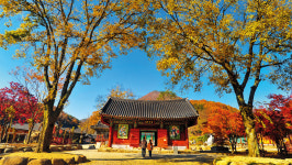 완(完)전한 쉼을 원한다면, 전북 완주 소도시 여행