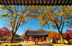 완(完)전한 쉼을 원한다면, 전북 완주 소도시 여행