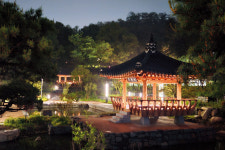 그 숲에 가면, 수목원 ②