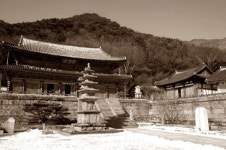벌교와 주변 지역으로 떠나는 힐링여행