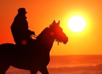 2014년은 60년마다 돌아오는 청마의 해