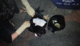 SNS 확산 음식물 쓰레기통에 버려진 강아지