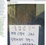 신사동의 어느 미친 주방장