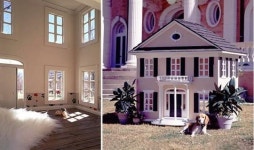 개 팔자가 상팔자 호화스러운 애완견 집 10선