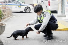유기견 집 찾아주는 마천파출소 훈남 경찰관