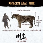 조선 마지막 호랑이, 영화 대호 미리알기 4가지