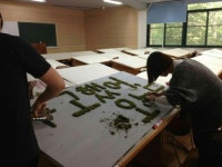 페인트 아닌 이끼를 친환경 이끼 그래피티