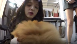 개의 눈높이로 설현을 바라봤다 (영상)