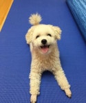 티아라 사태 폭로글 터진 후 류화영 근황
