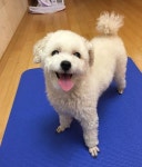 티아라 사태 폭로글 터진 후 류화영 근황