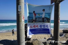인생샷 성지! 김신♥지은탁 다녀간 '주문진 도깨비 촬영장' 상황