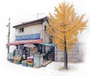 한 작가가 20년간 전국 다니며 그린 구멍가게 (그림 40선)