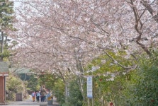 막 찍어도 인생사진 건짐 사진 찍기 좋은 제주 테마공원 6곳