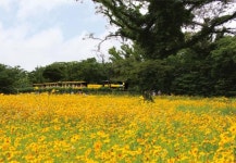 막 찍어도 인생사진 건짐 사진 찍기 좋은 제주 테마공원 6곳