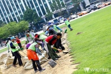 129일 만에 탄기국 텐트촌 강제 철거된 서울광장(사진)