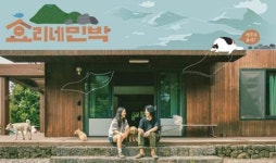 드디어♥ 효리네 민박, 오는 25일(일요일) 첫방송