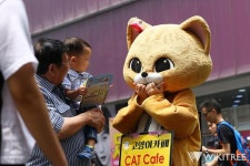 ‘최악의 알바 4년 연속 1위’ 인형탈 알바 직접 해봤다