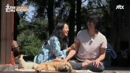 민박객 모집 안 합니다 사칭 주의보 내려진 효리네 민박