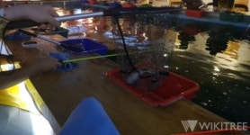 “동물 학대?” 이색 데이트 장소 낚시 카페에 대한 엇갈린 시선