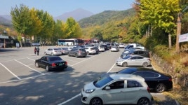 순천시, 조계산 도립공원 선암사 주차장 설날연휴 무료 개방