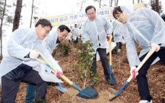 숲 속의 전남, 올해 1천만 그루 나무 심기 시동