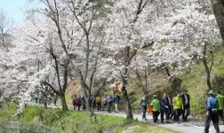 광주시 동구, 너릿재옛길 LED조명등 설치 추진