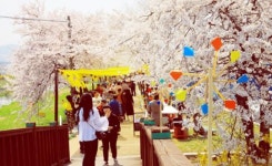 곡성군 기차당뚝방마켓 오는 10일 재개장