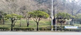 여수시, 봄맞이 도로변 가로수 ‘새단장’
