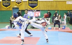전국소년체전 전남도대표선발 태권도대회 강진에서 열린다