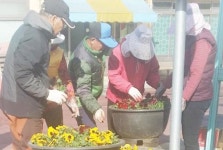 담양군 봉산면, 봄꽃 향기 가득한 꽃마을 조성에 한창