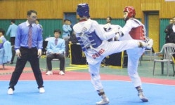 강진에서 펼친 금빛 발차기 성료