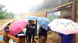 영광군 문화관광해설사 물무산 행복숲 홍보에 나서