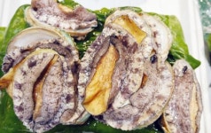 완도 명품 전복, 산지에서 대도시 직송으로 만나세요!